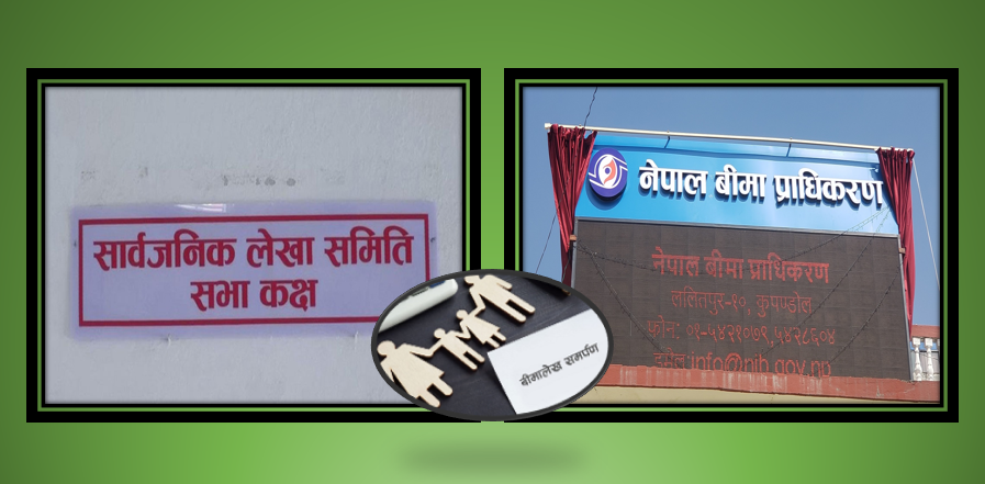 लेखा समितिको निर्देशनले बीमा उद्योगलाई धरासायी बनाउदै, यस्ता छन् सरेण्डरका विश्वव्यापी मान्यताहरु